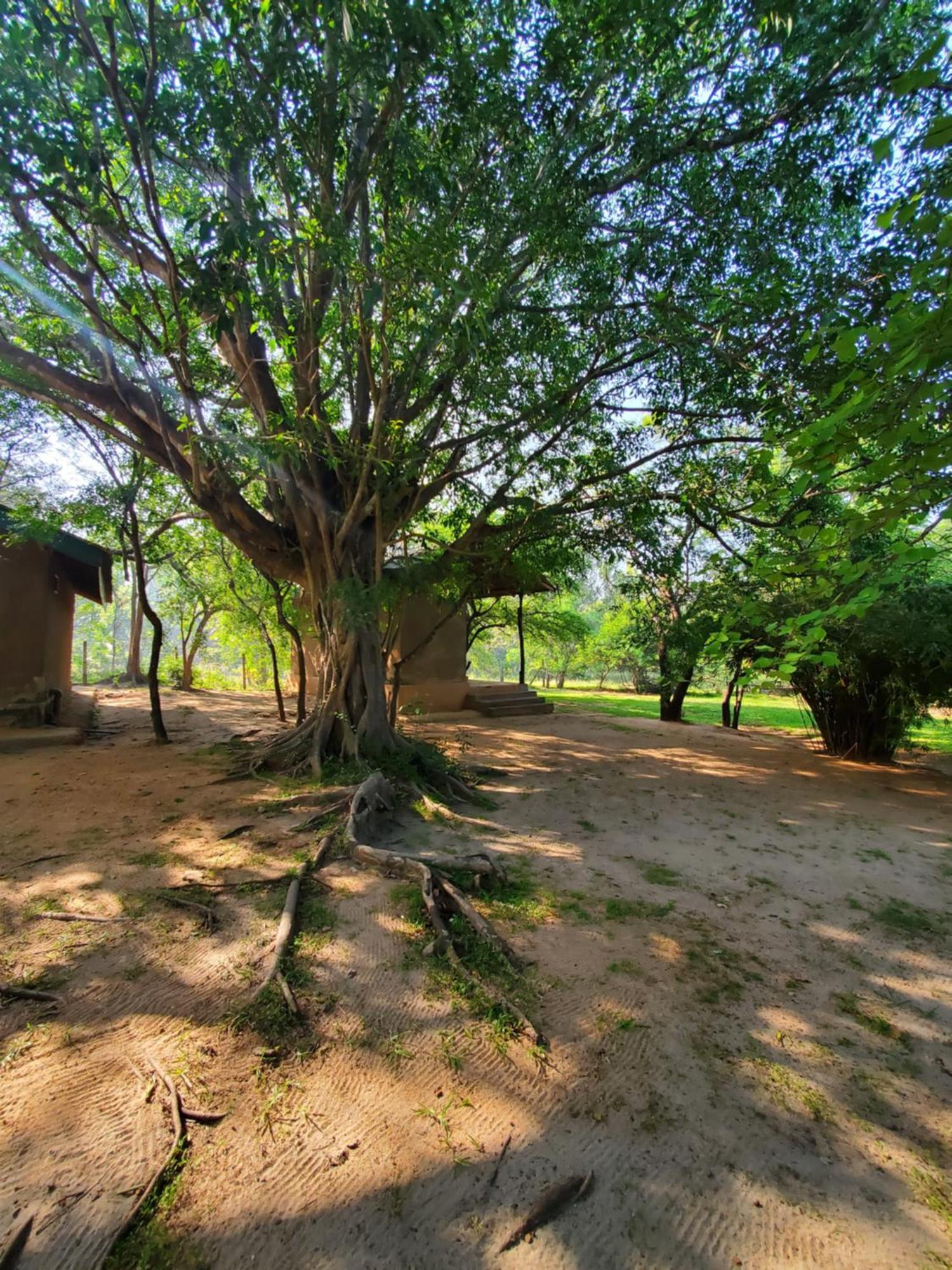 Clay Hut Village Polonnaruwa Exterior foto